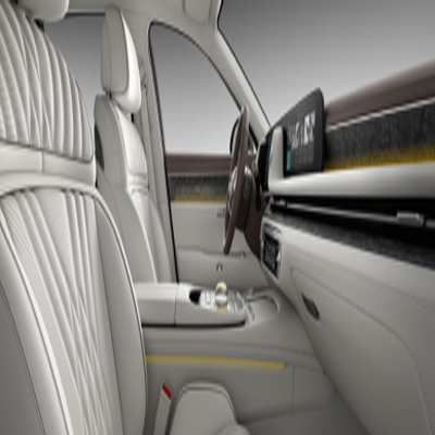 현대 제네시스 G90 (42)