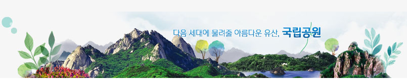 국립공원 숲 결혼시 썸네일