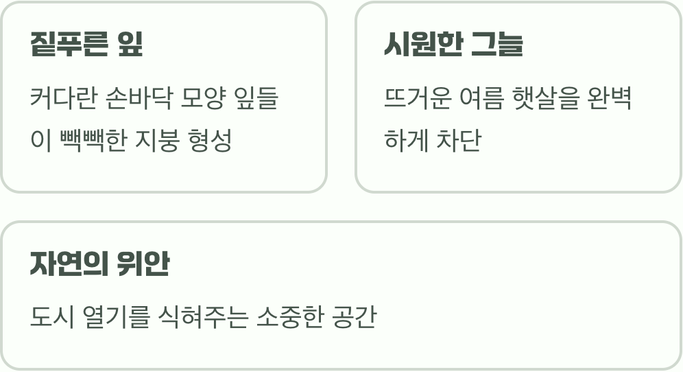 여름: 시원하고 짙푸른 녹색 터널