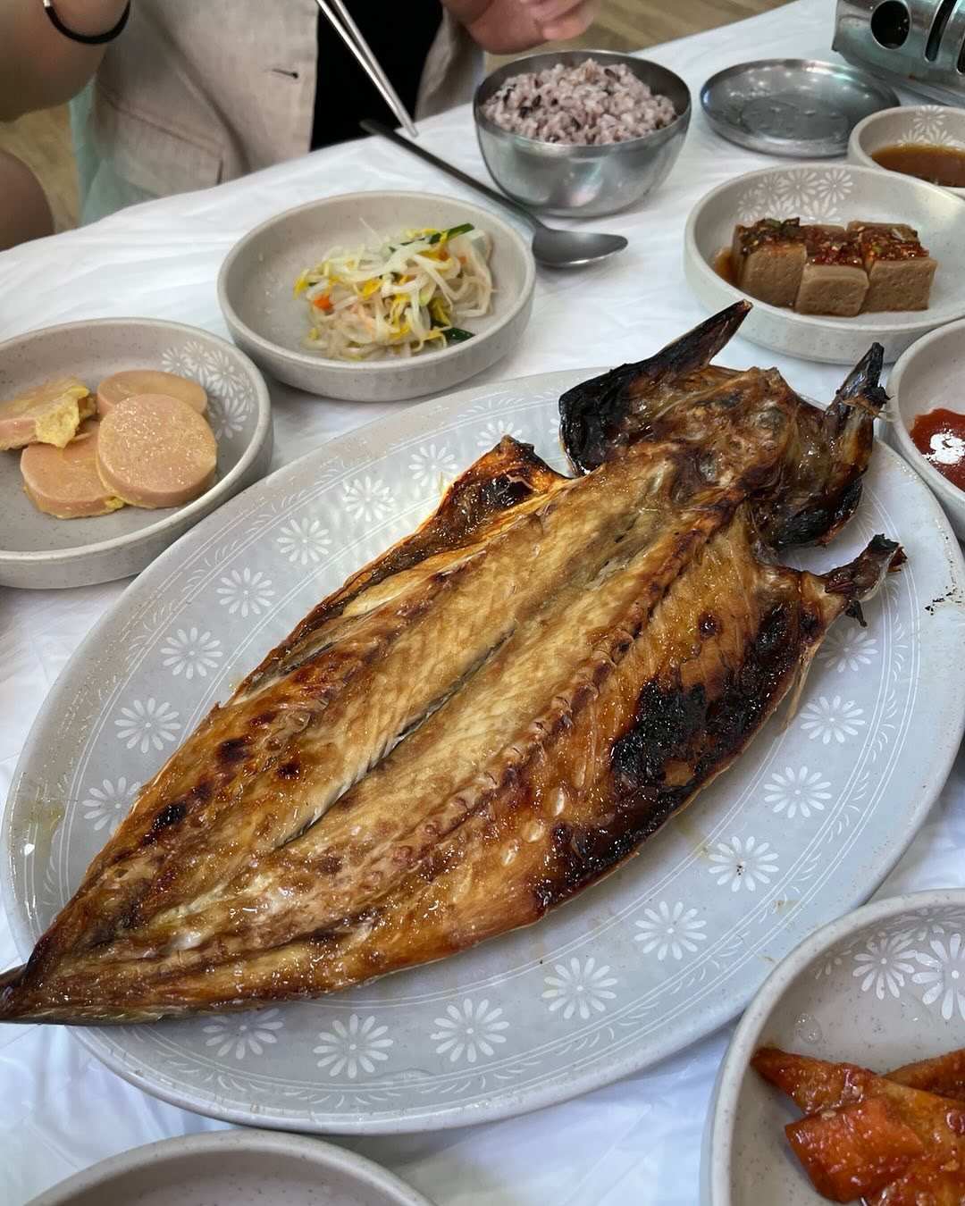 [오늘N] 4월 30일 방송 정보: 의왕 하이디농장&amp;#44; 강릉 파도식당&amp;#44; 강동구 만냥회센터 위치 및 연락처 관련사진