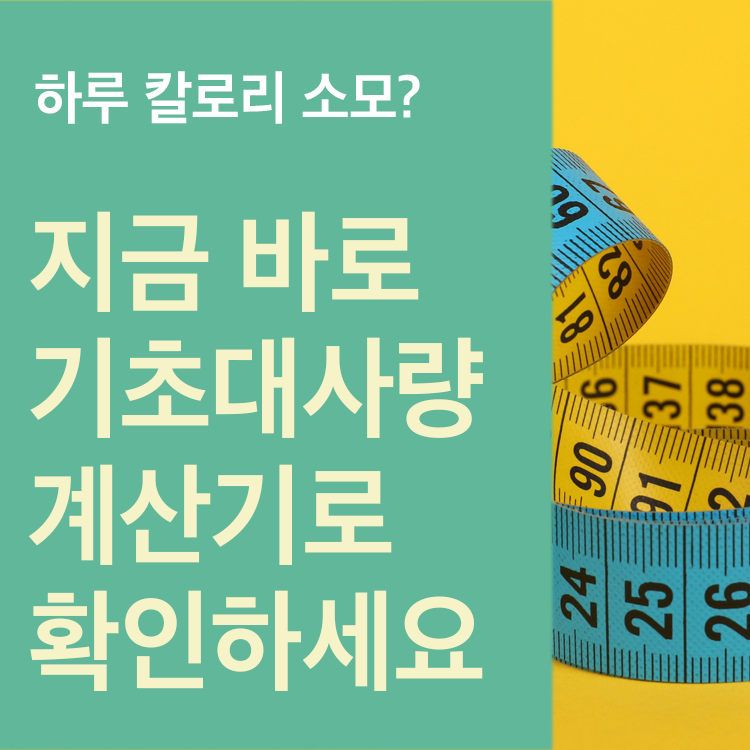 기초대사량 계산기 추천