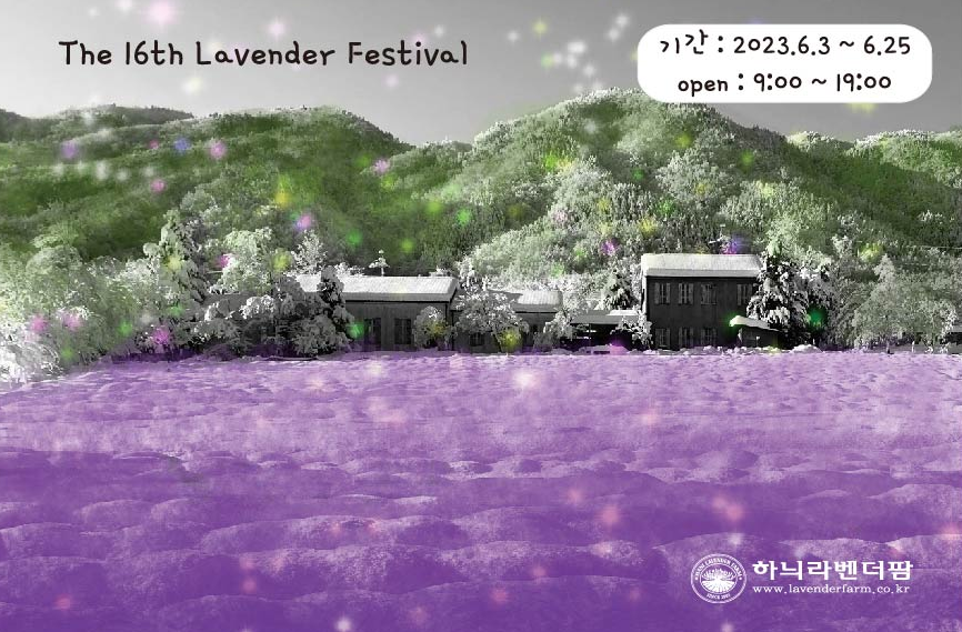 하늬라벤더팜 축제