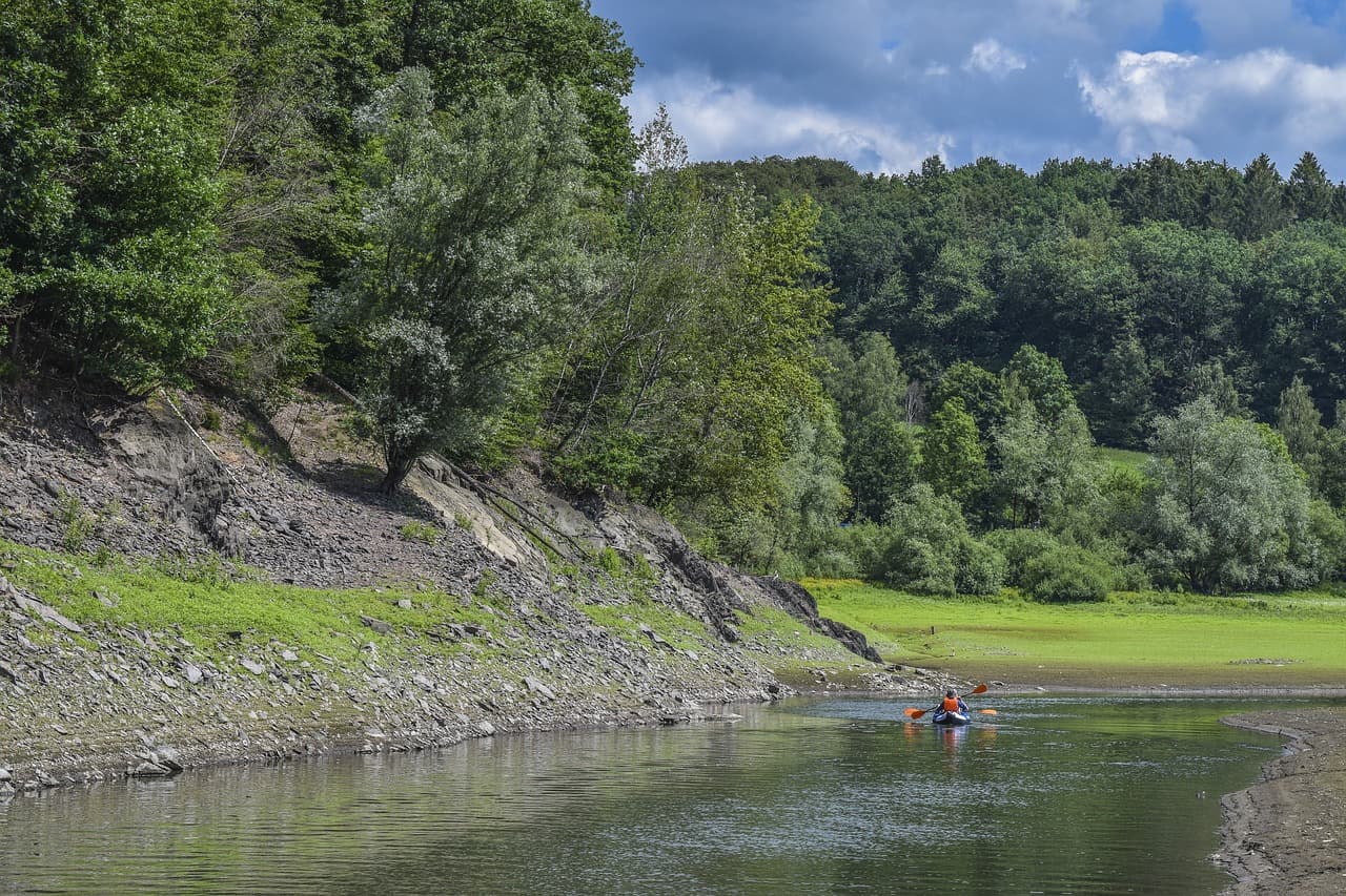 숲놀이와 자연놀이가 아이 발달에 미치는 영향: 자연은 최고의 교실이다