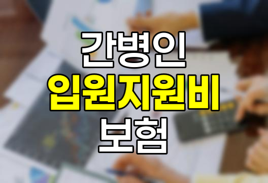 간병인사용입원지원비 보험 상세 분석, 특징, 약관, 청구 방법