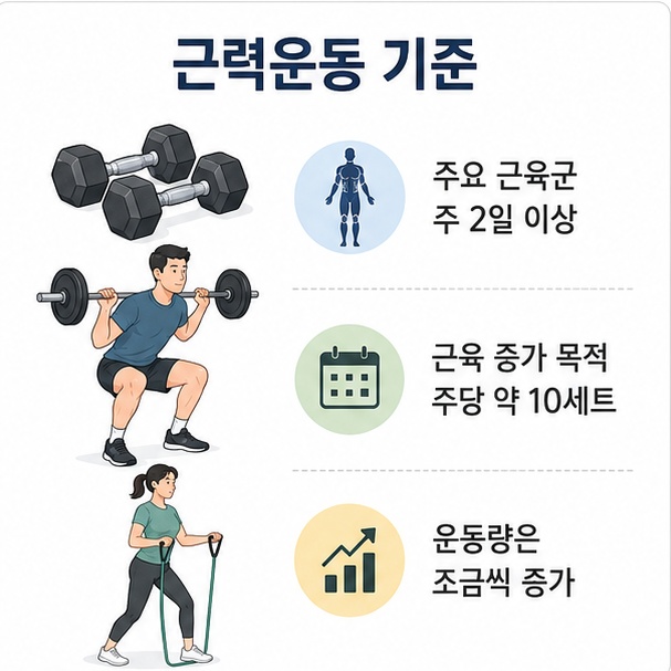 주요 근육군을 주 2일 이상 운동하고 근육 증가를 위해 주당 운동량을 확보하며 점진적으로 강도를 높이는 방법을 설명한 이미지