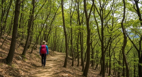 무주 적상산의 조용한 숲길을 걷는 사람
