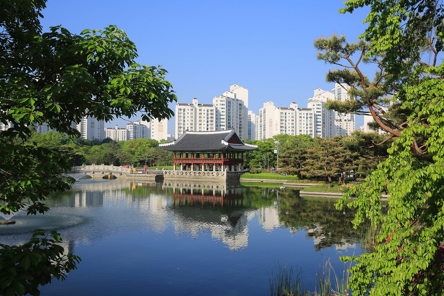 분당중앙공원 철쭉