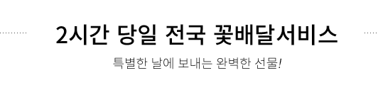 2시간 배달