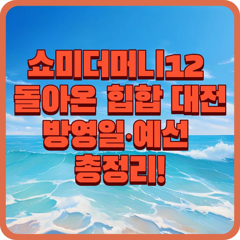 힙합 대전 부활! &lsquo;쇼미더머니12&rsquo; 기본정보 &amp; 예선 프로세스 정리
