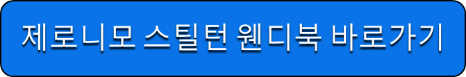 제로니모 스틸턴 웬디북 바로가기