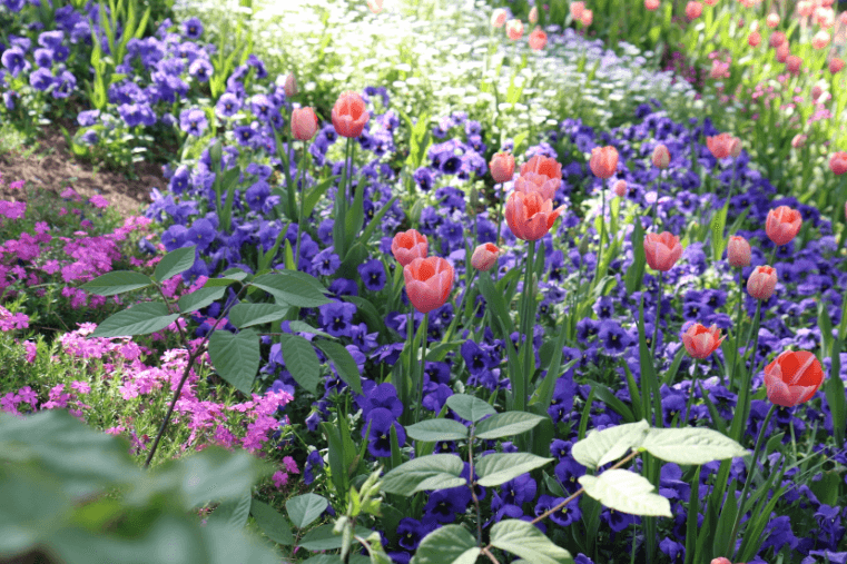 대구 축제 일정
