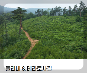 동해 가볼만한곳