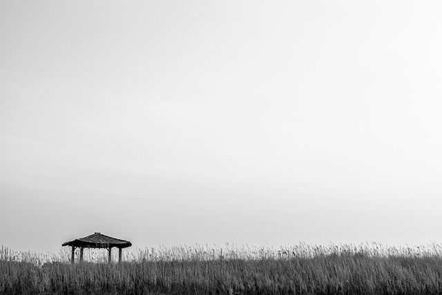 노후를 위한 미니멀 라이프: 적게 소비하고 풍요롭게 사는 법