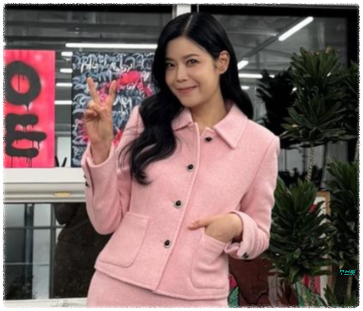 이수 린 이혼 미우새 방송