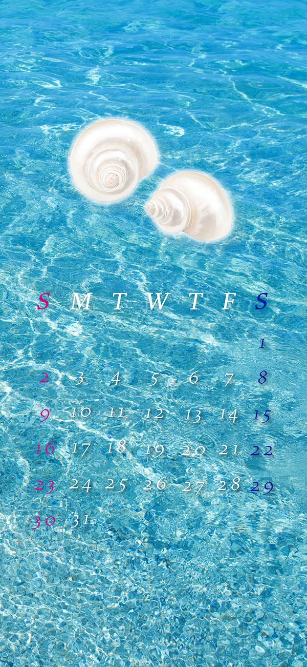 아이폰 배경화면 고화질 추천] 감성적인 배경부터 4K까지 총정리!