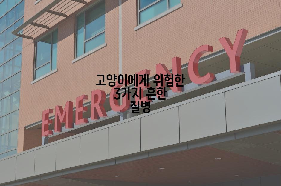 고양이에게 위험한 3가지 흔한 질병