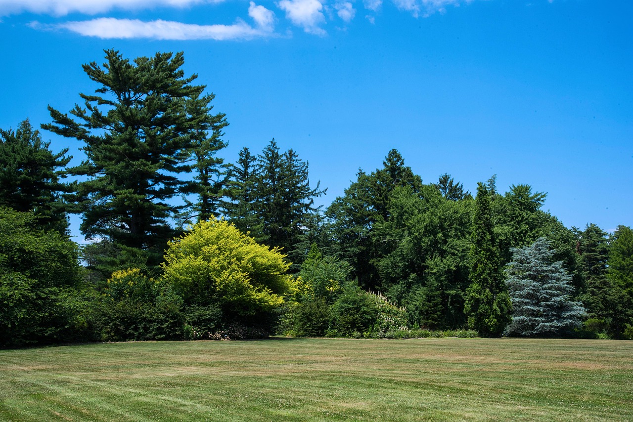 수목원 관련 사진