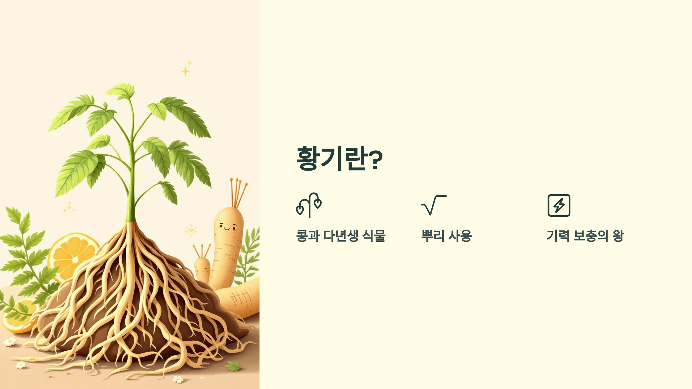 황기 사진입니다.