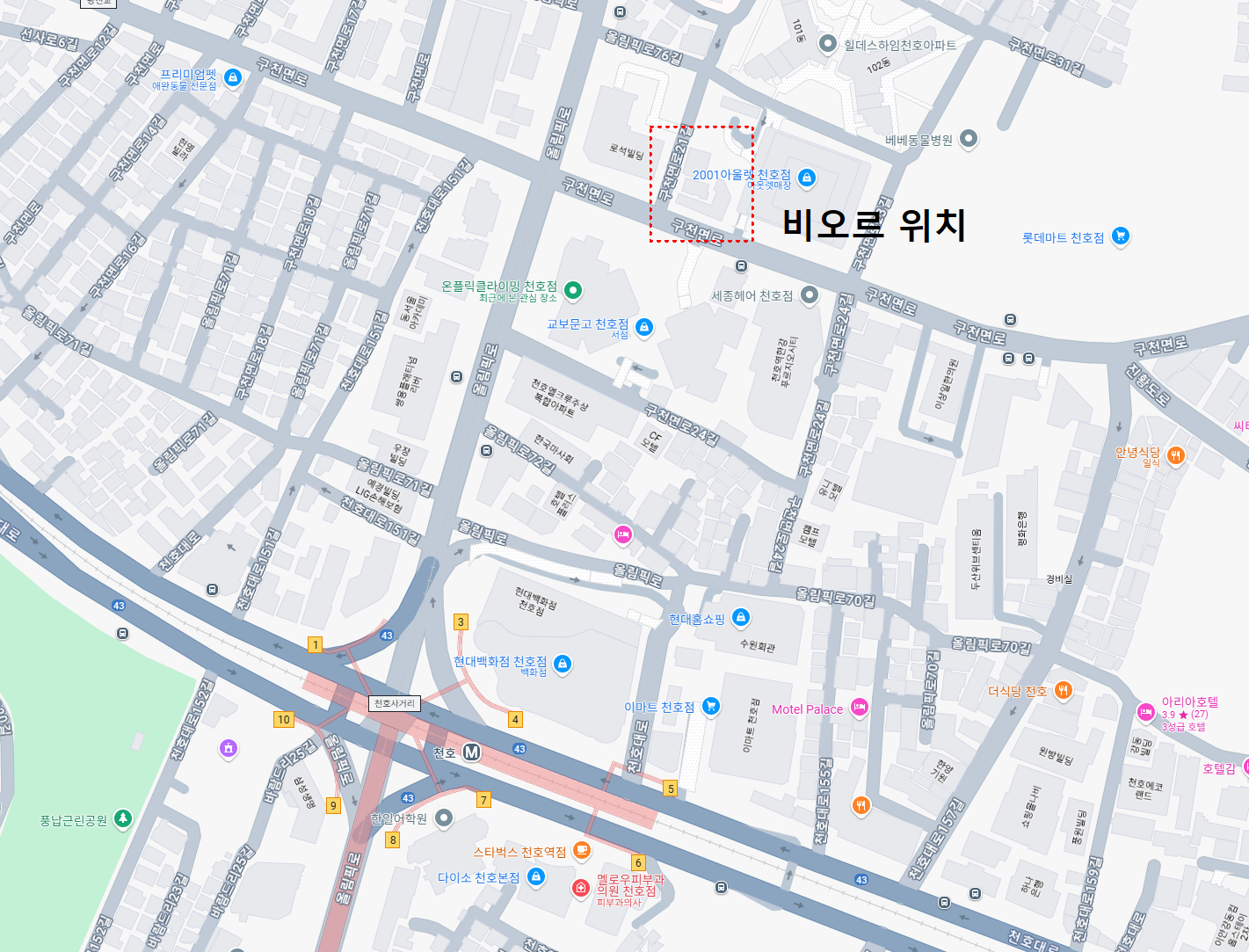 비오르지도