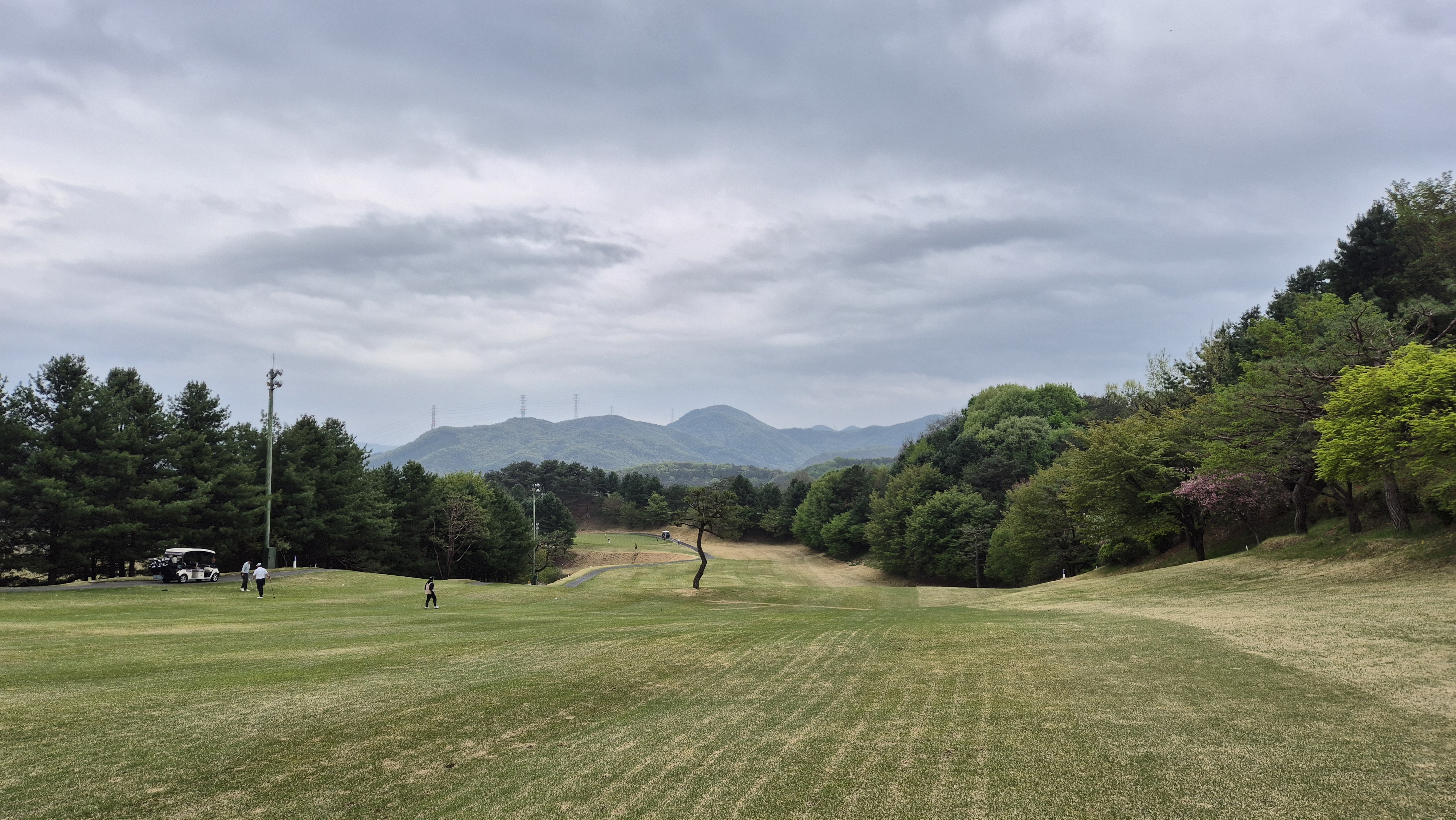 시그너스cc 코튼-라미 코스 사진 및 공략 정보
