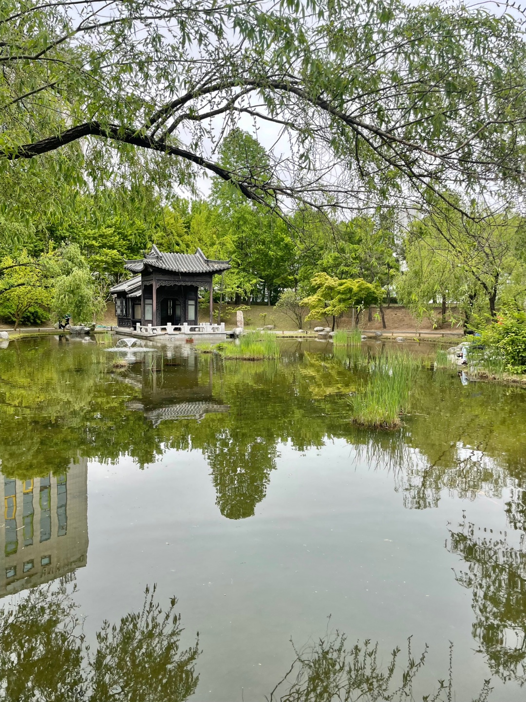 아기랑 가볼만한 수원 효원공원 월화원