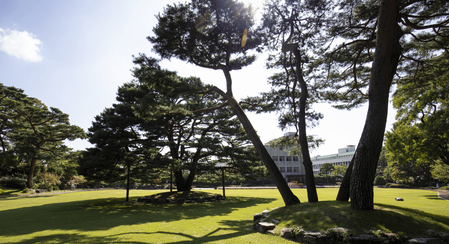 청와대 관람 코스 사전 예약 주차까지 한 번에 알아보기