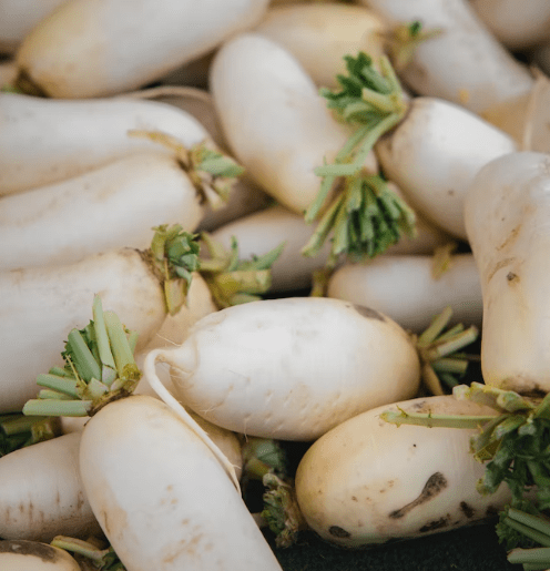 무우말랭이차 효능