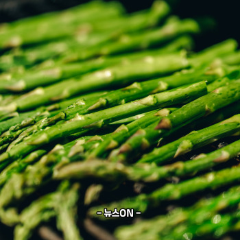 엽산이 많은 음식