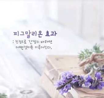 피그말리온효과 뜻 실제 사례 유래 반대 비판_16