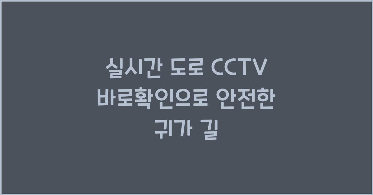 실시간 도로 cctv 바로확인