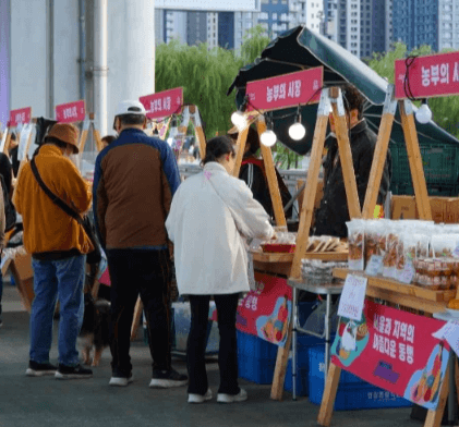 축제 가볼만한 곳