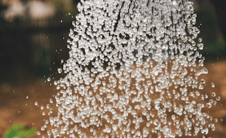 피부 탄력 관리 방법 - 미스트