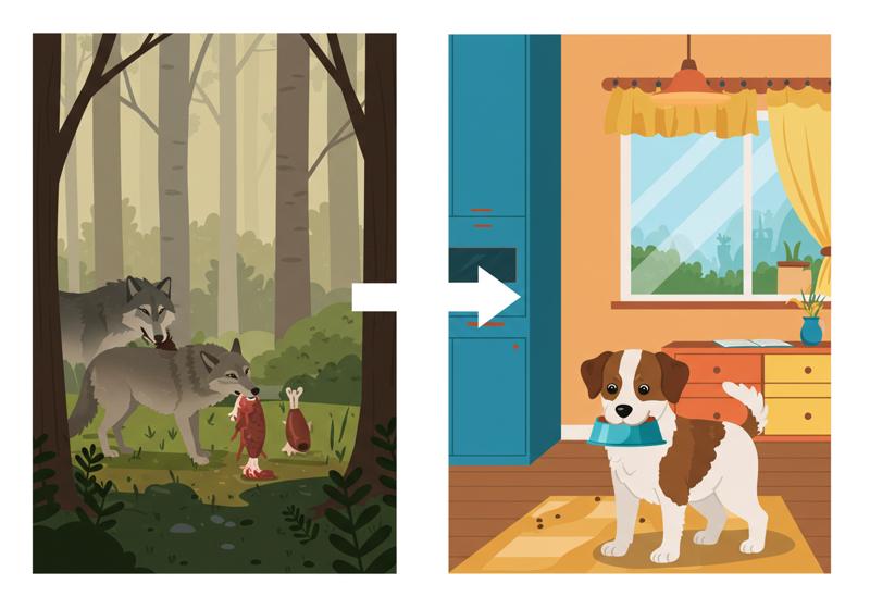 야생 본능에서 찾는 원인