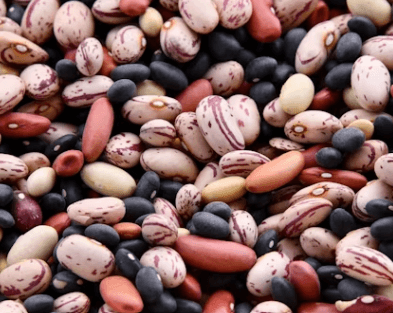 '저속노화 식단' 핵심 원칙 5가지