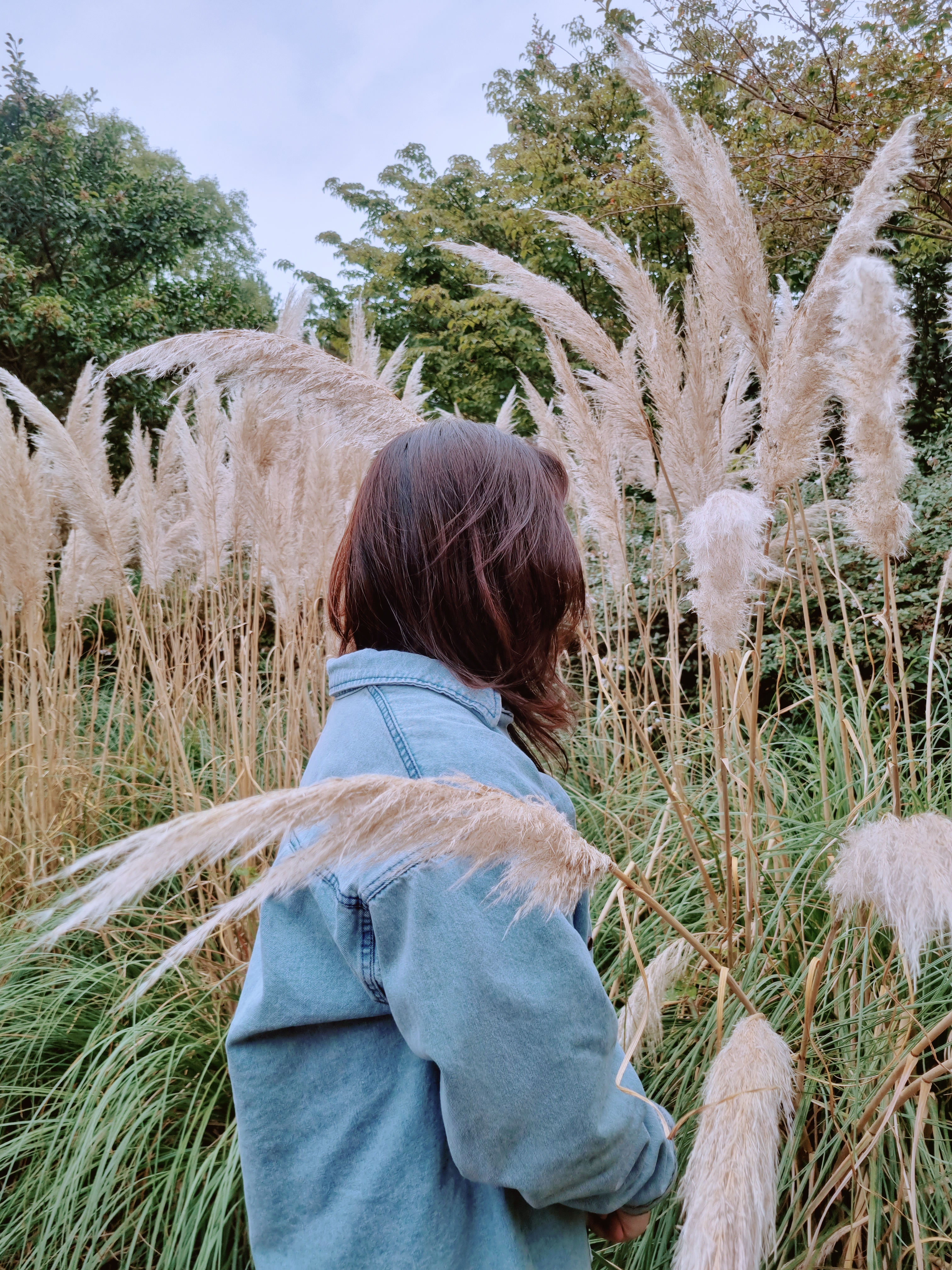 휴애리 자연생활공원