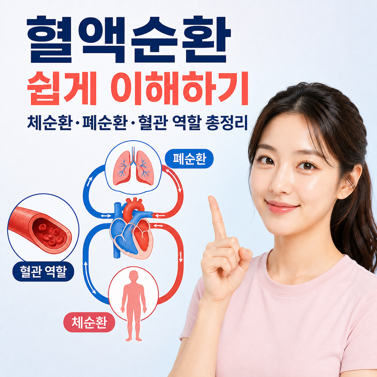 혈액순환