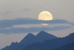 정월 대보름 나물 종류