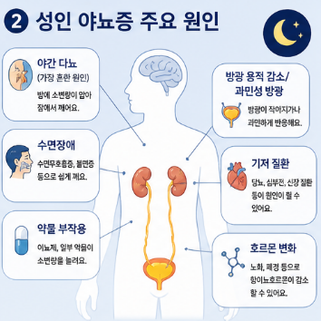 성인-야뇨증-원인-증상-진단-치료-약