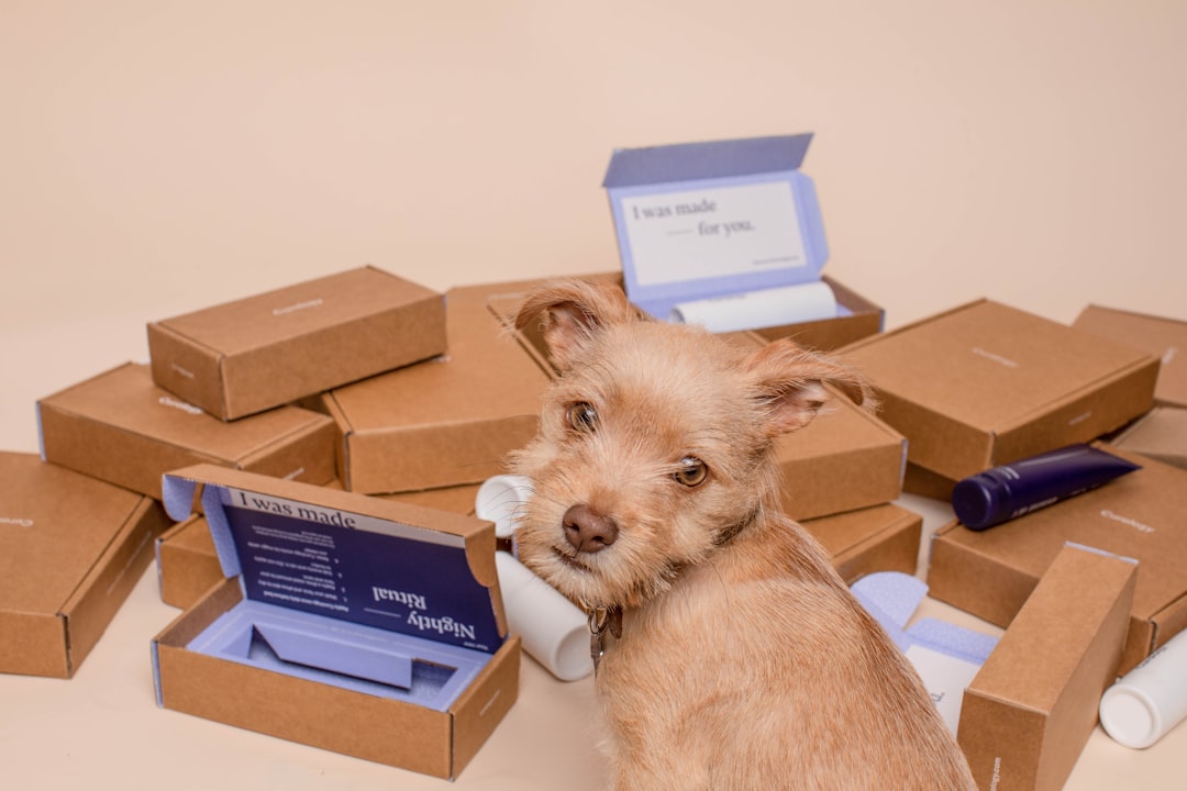 Package