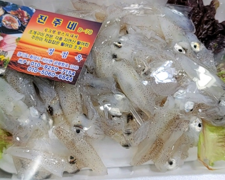 동네한바퀴-화성-궁평항-꽃게-진주네-정점옥