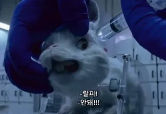 동물 실험의 윤리적 문제와 이제는 멈춰야 할 때입니다에 대한 의견_3