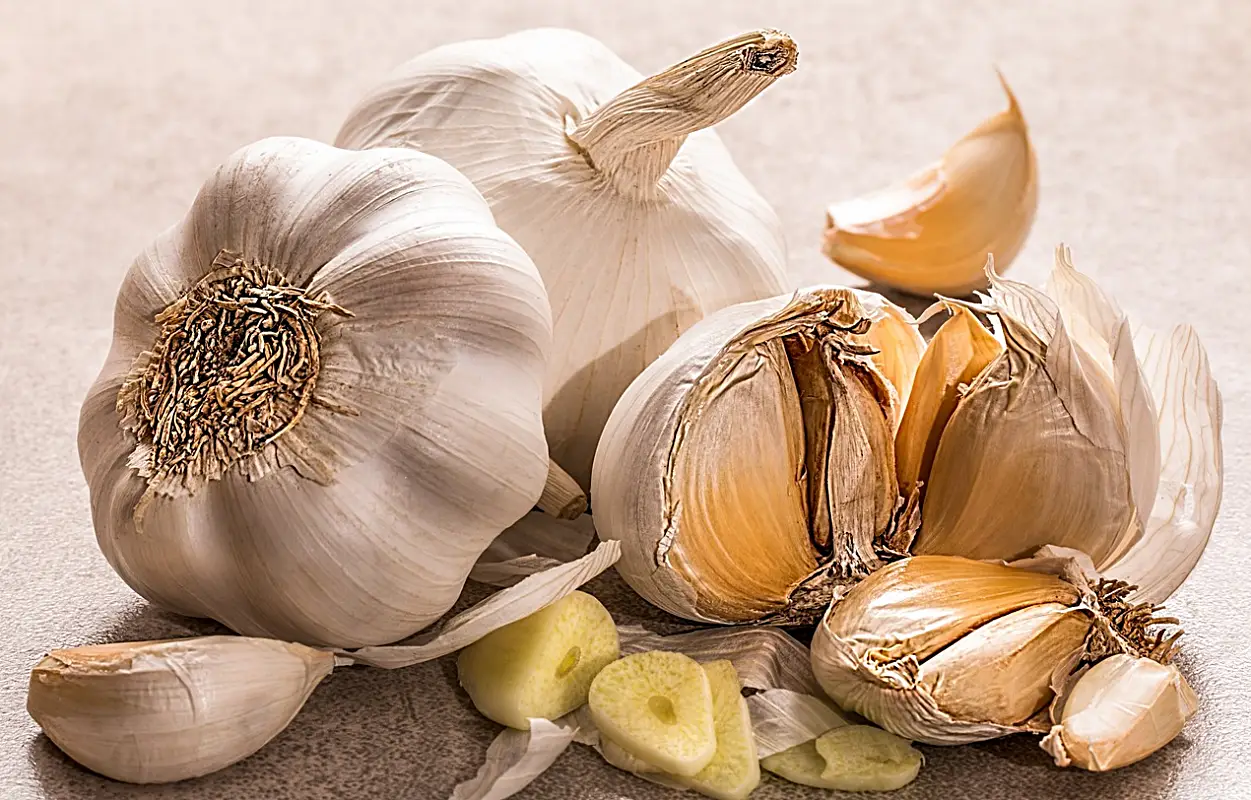 마늘장아찌 담그는법