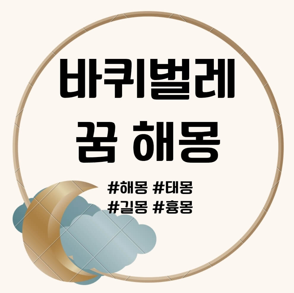 바퀴벌레 꿈 해몽 문구의 표지