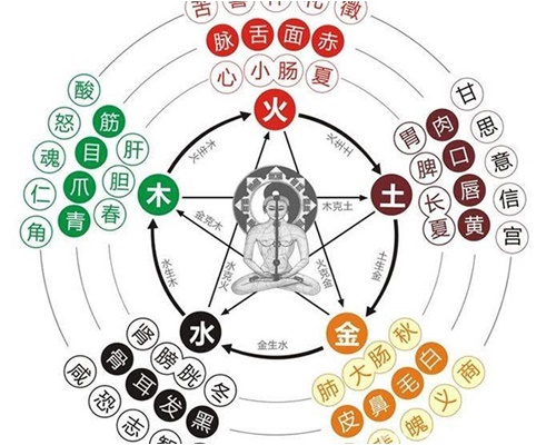 오늘의 운세띠별운세