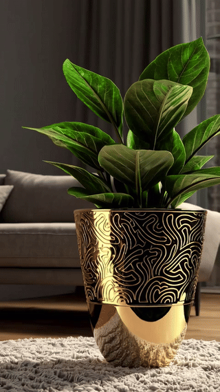 재물운을 부르는 식물 7가지