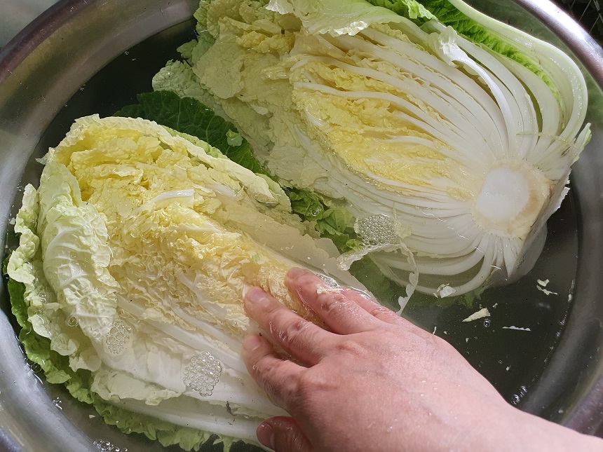 여름배추김치 담그기