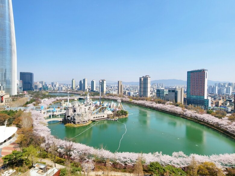벚꽃축제