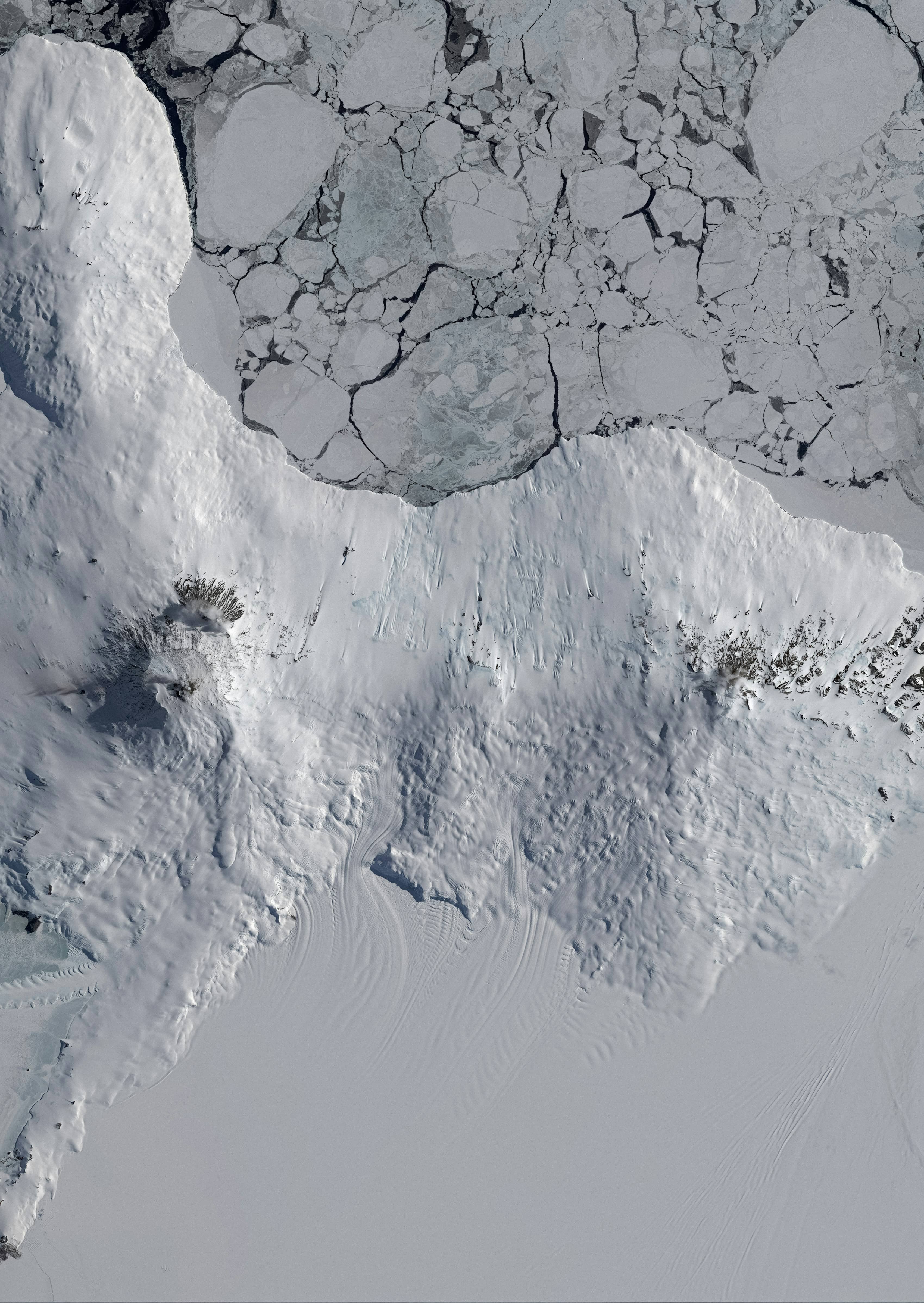 극지 연구의 다학제적 접근 : 생물학, 기후학, 지리학 통합