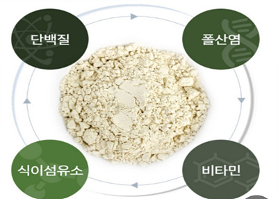 파바빈 영양소 사진