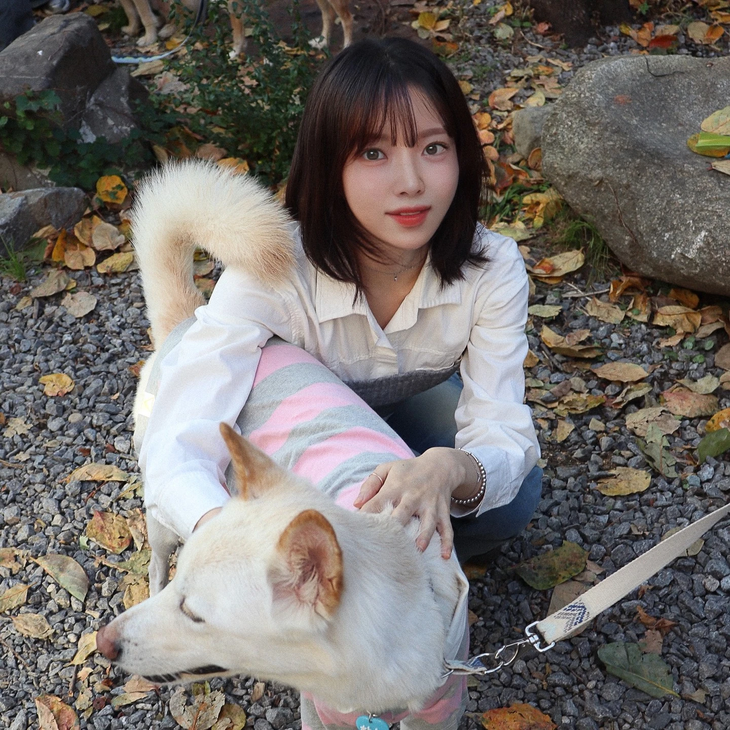 메타휴먼 한유아 동물보호연대 2025년 달력 텀블벅 펀딩 소개 유기 동물 구조 보호 치료 기부 탁상 패브릭 포스터